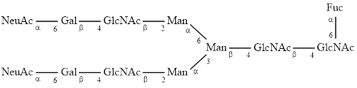 FA2G2S2 glycan (G2FS2)